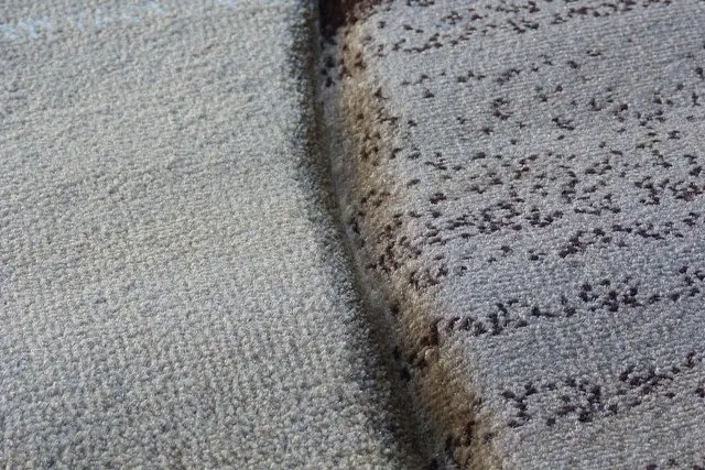 Килим з художньою стрижкою Curlex Pro DARK BEIGE 4332B