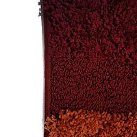 Ворсистий килимок Vortax Plush Loop CHERRY 7641A