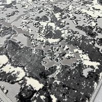 Килим з комбінованим ворсом и термоусадкой Glacia Gray 08148A