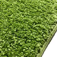 Пухнастий килим Plumis зелений green 000071