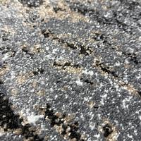 Килим з невисоким ворсом Mara сірий Gray 24136/116